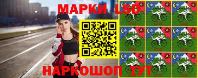 гидра Рязань