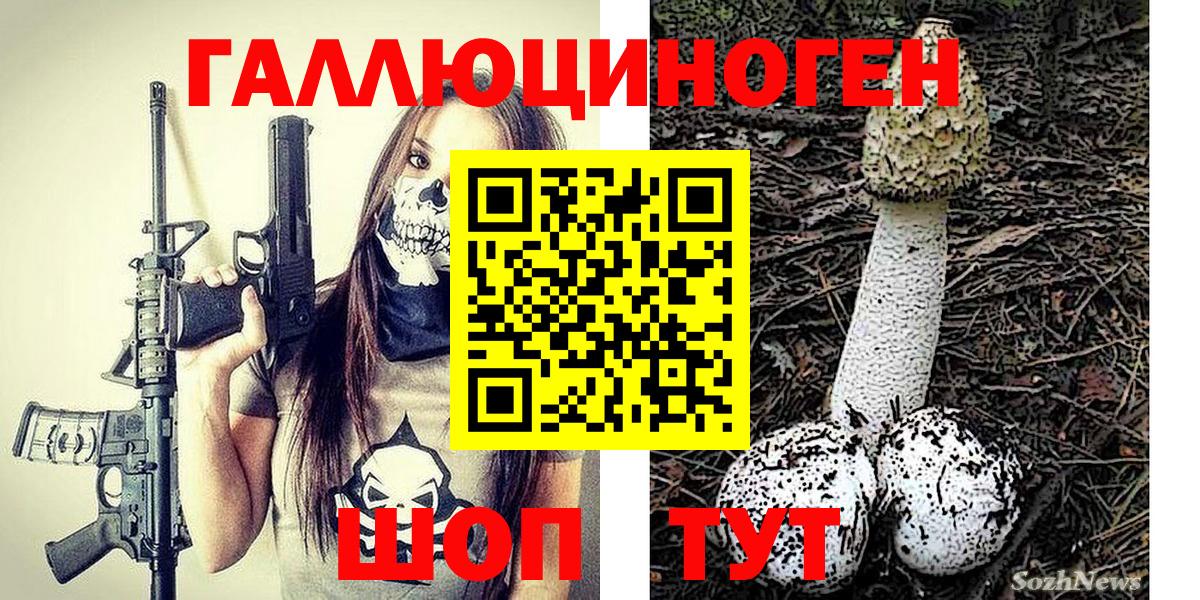 Галлюциногенные грибы Psilocybe  Вход с VPN  Скопин 
